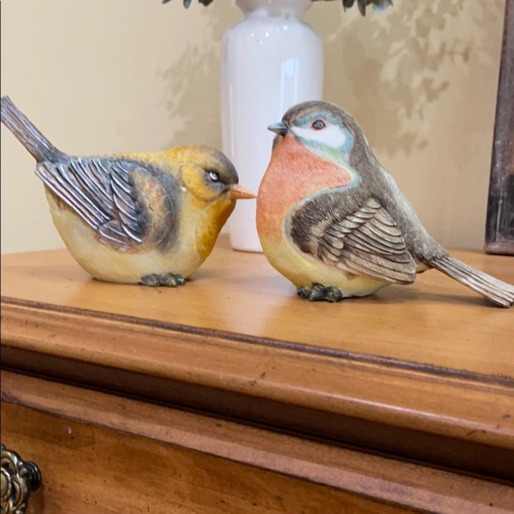 Birds